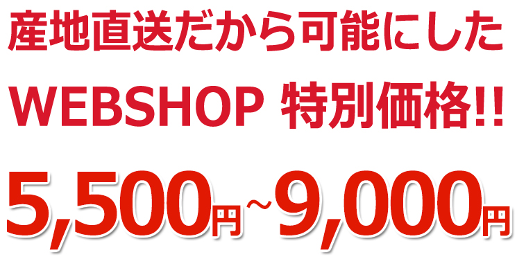山梨県桃販売価格紹介
