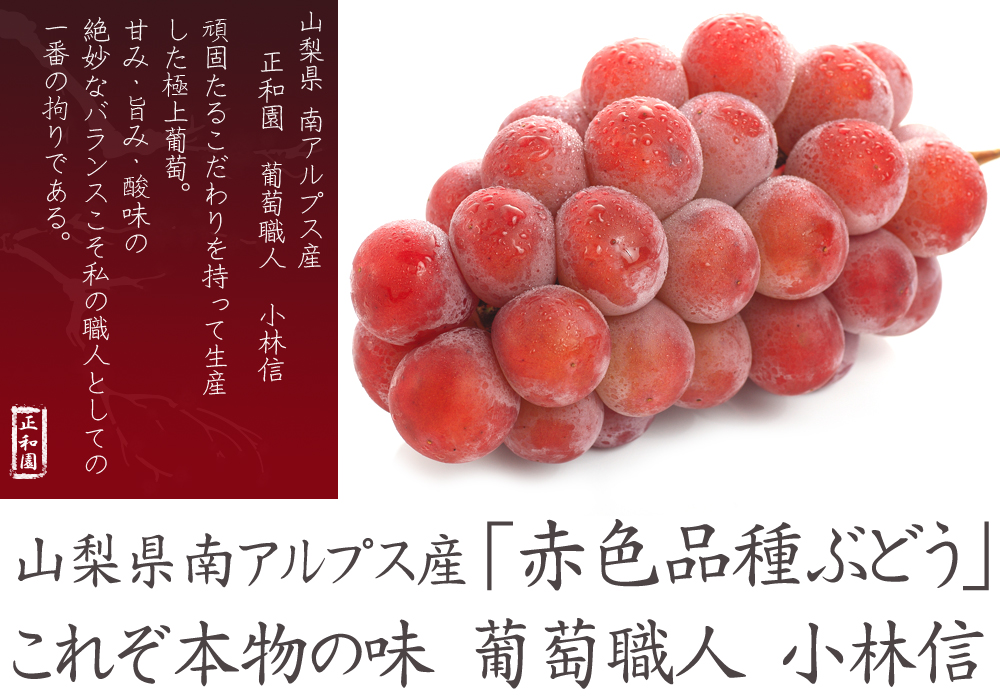 赤ぶどうの品種 販売 山梨県産地直送通販 葡萄職人 正和園